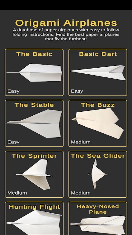 Origami paper airplane Screenshot 1