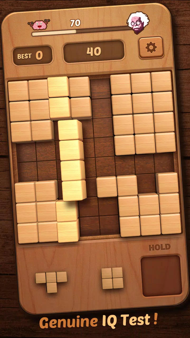 Wood Block Puzzle 3D ภาพหน้าจอ 3