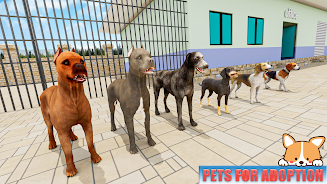 Animal Shelter: Pet World Game Ekran Görüntüsü 1