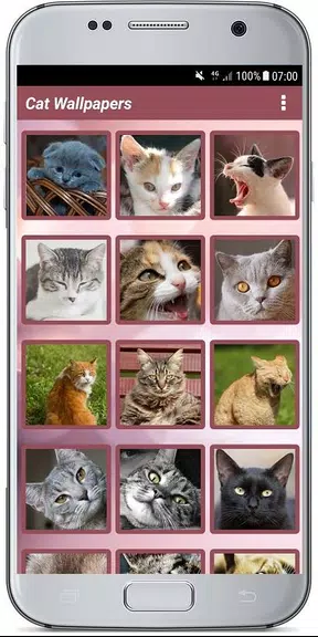 CUTE CAT WALLPAPERS Captura de tela 0
