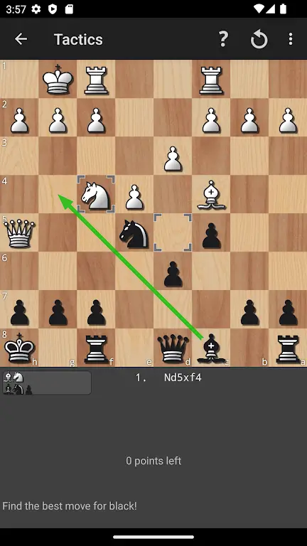 Shredder Schach Screenshot 0