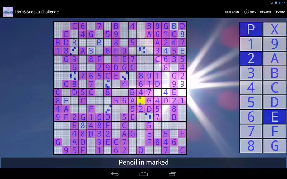 16x16 Sudoku Challenge HD Tangkapan skrin 2