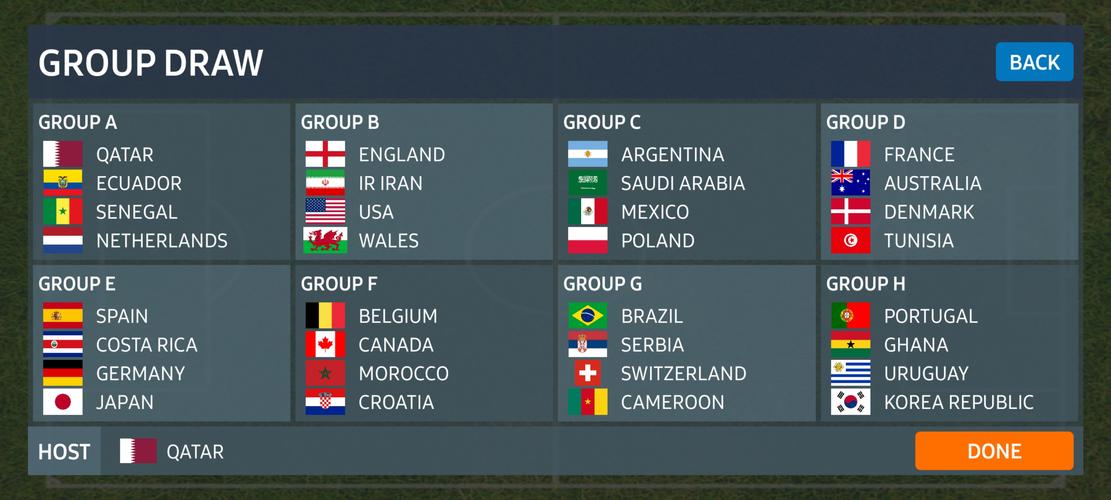 World Football Simulator Screenshot 1