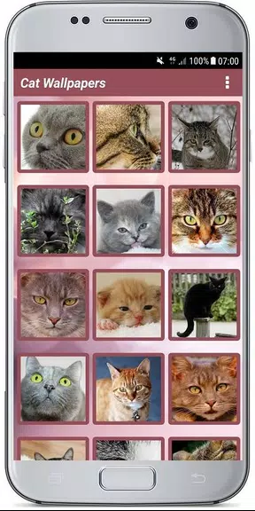 CUTE CAT WALLPAPERS Captura de tela 2