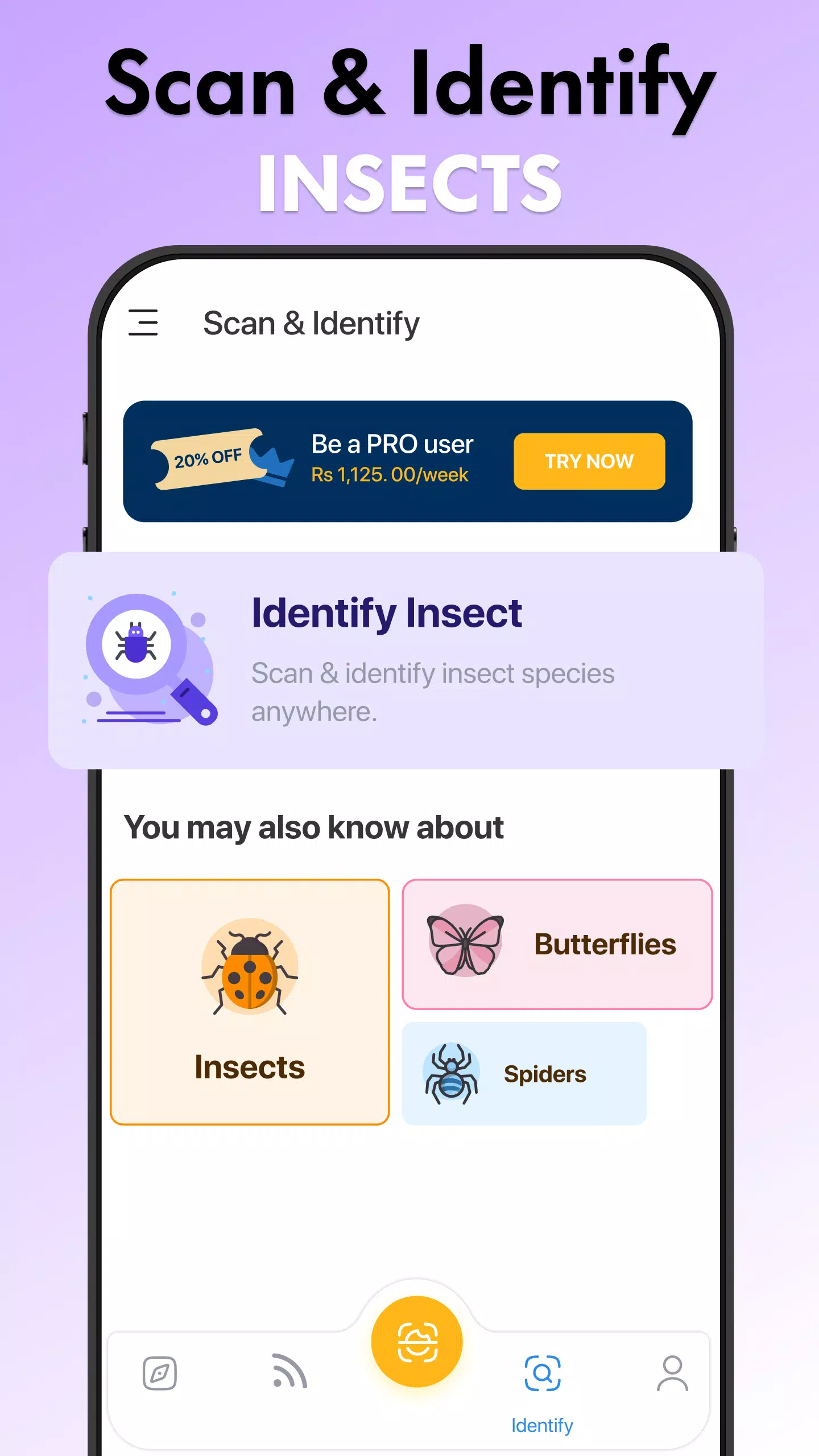 Insect Identifier Bug Identify स्क्रीनशॉट 3