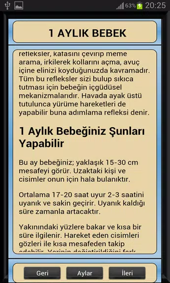 Bebek Gelişimi Ay Ay Detaylı Ekran Görüntüsü 2