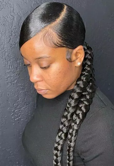 Sleek Braided Ponytail Styles Zrzut ekranu 0