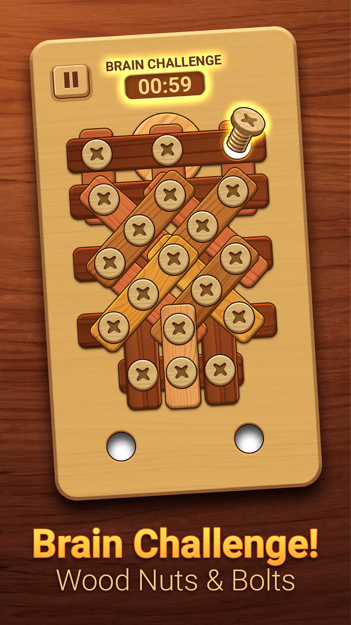 Woodle - Wood Screw Puzzle Screenshot 2