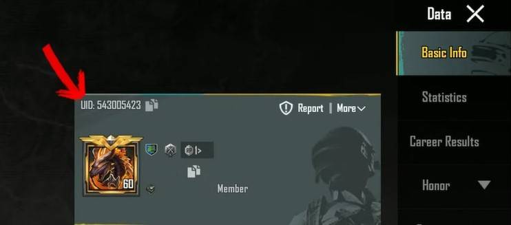 2024年10月的PUBG移动兑换代码列表