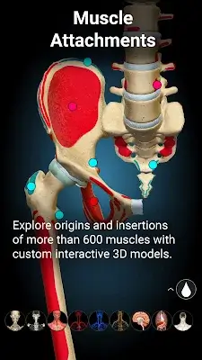 Anatomy Learning - 3D Anatomy 螢幕截圖 3