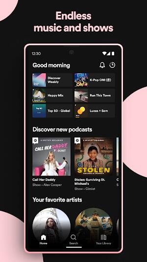 Spotify Premium Ảnh chụp màn hình 3