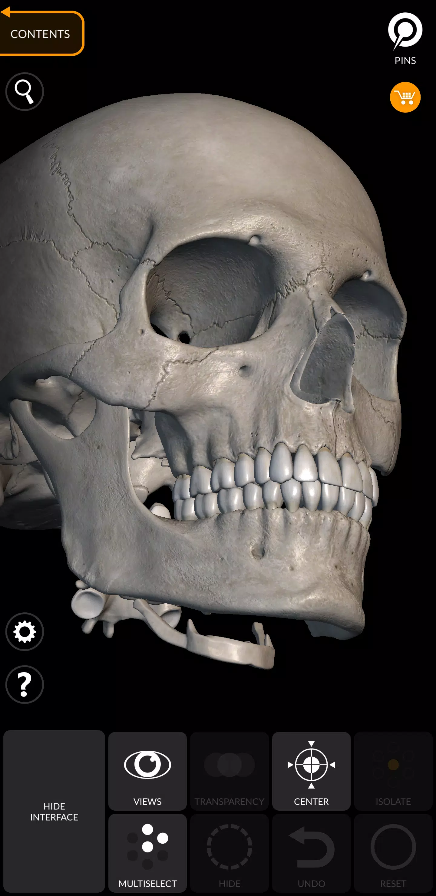 Skeleton Tangkapan skrin 3