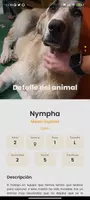 Amazdog Скриншот 2