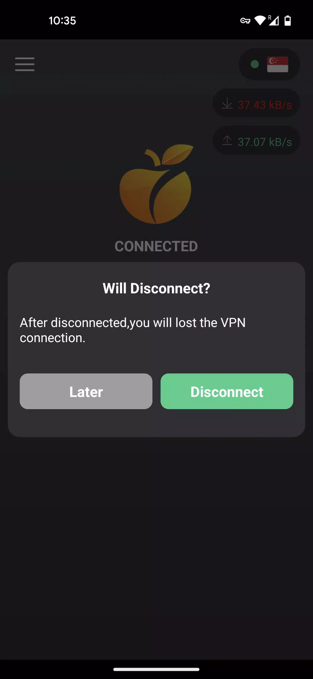 OraVPN 스크린샷 3