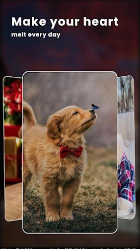 Puppy Love: Cute Dog Wallpaper Screenshot 2