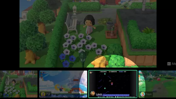 Nintendo Switch 2 C Button