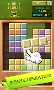 Block Puzzle Wood 88应用截图第1张