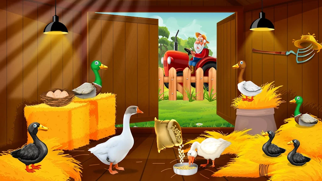 Duck Farm Eggs Chicken Poultry Screenshot 3