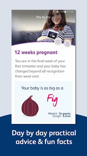 Bounty - Pregnancy & Baby App Zrzut ekranu 2