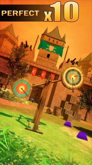 Archery Shooting スクリーンショット 0