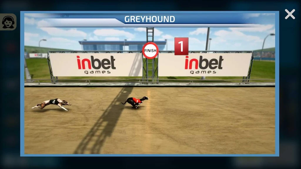 Dogs3D Races Betting Captura de pantalla 3