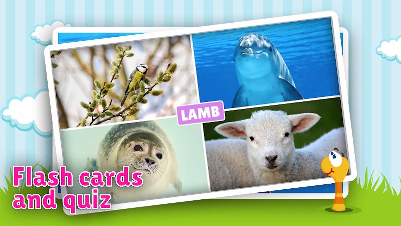 Animal flashcard & sounds Capture d'écran 1