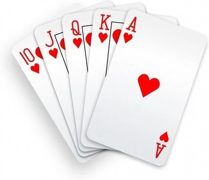 Twenty nine 29 Merriage Card Game Captura de pantalla 0