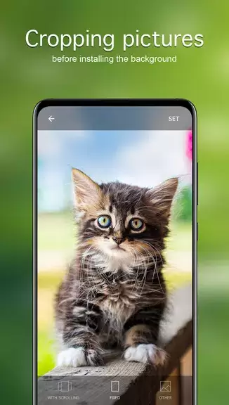 Cat Wallpapers & Cute Kittens Screenshot 3