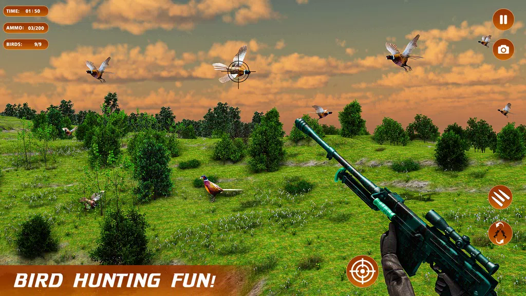 Pheasant Shooter Birds Hunting スクリーンショット 3