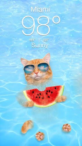 Weather Kitty - App & Widget スクリーンショット 1