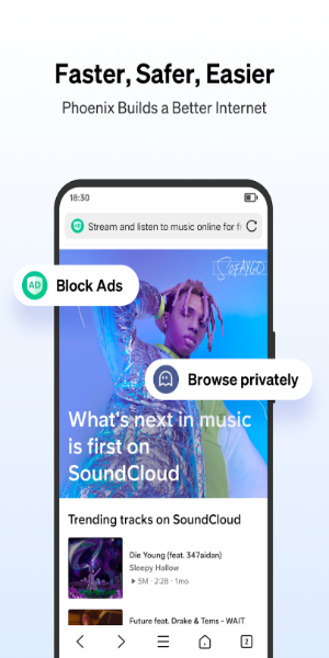 Phoenix Browser ဖန်သားပြင်ဓာတ်ပုံ 0