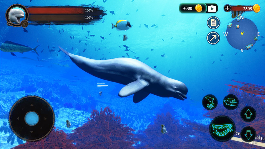 The Beluga Whale Screenshot 1