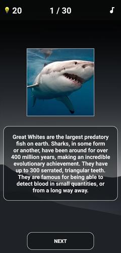 Animal Quiz: Guess the Animal Captura de tela 3