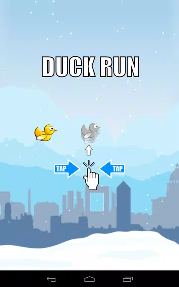 Duck Run Zrzut ekranu 2