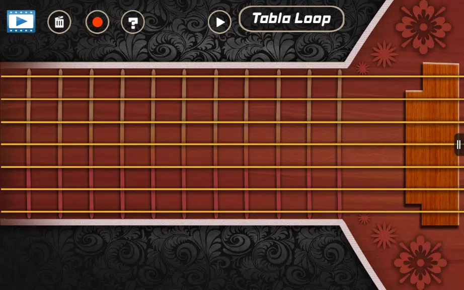 Sitar Pro HD Tangkapan skrin 0