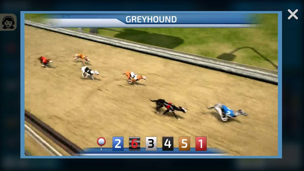 Dogs3D Races Betting Captura de pantalla 1
