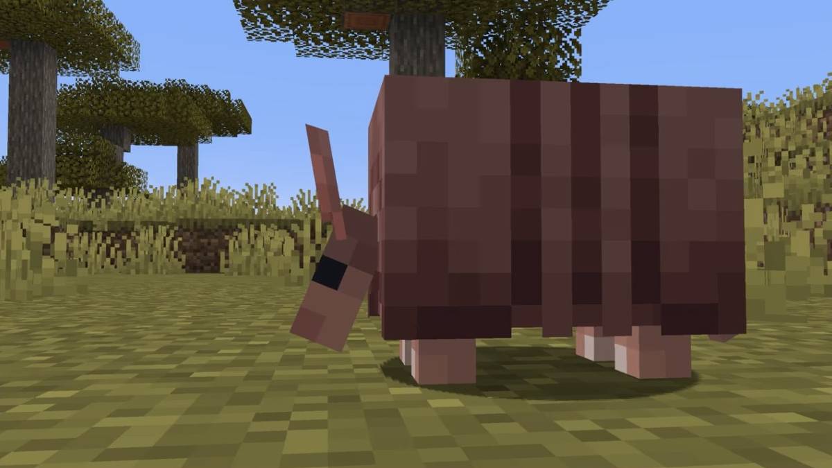 如何在Minecraft中獲得Armadillo scuit