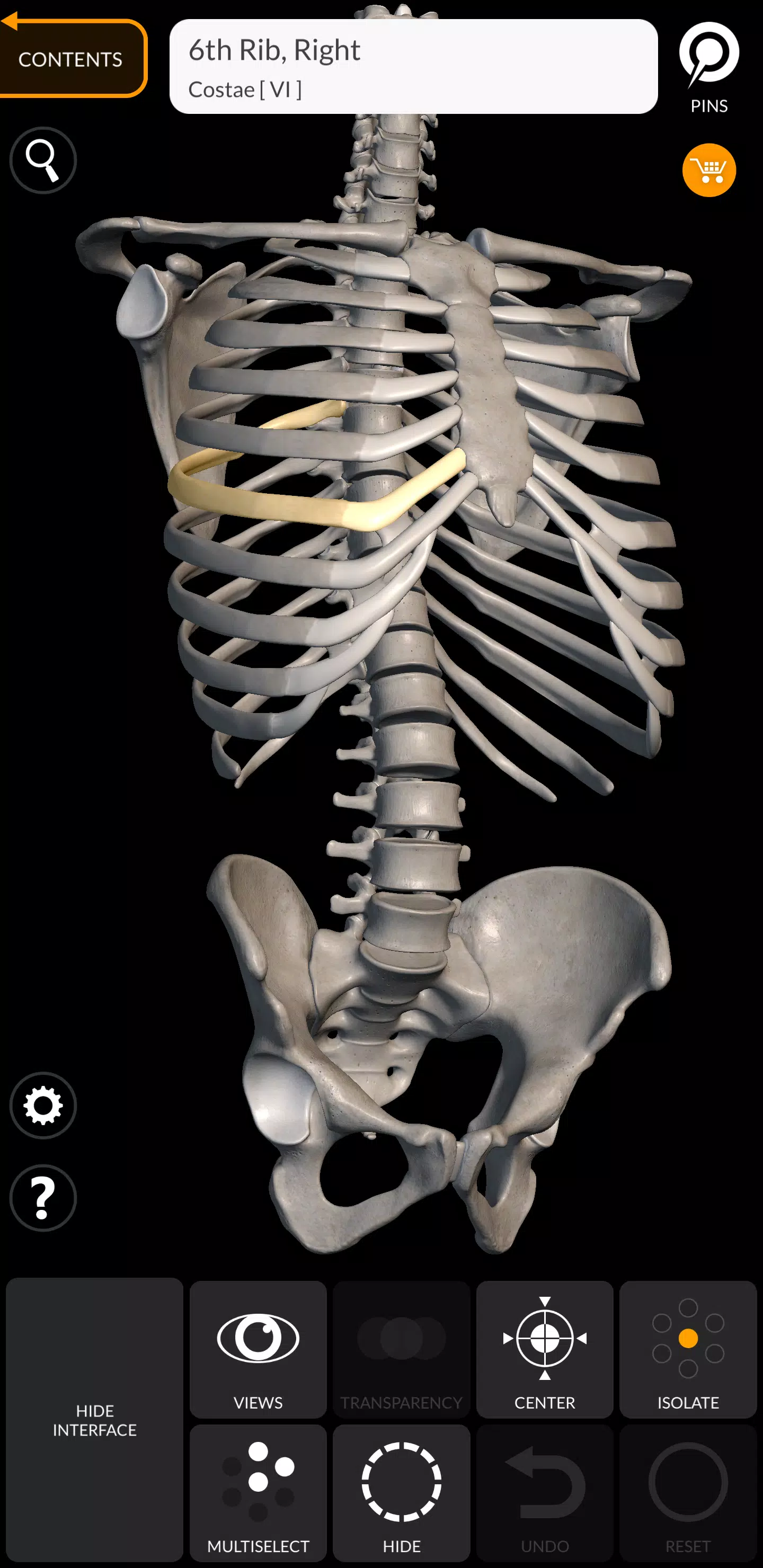 Skeleton Tangkapan skrin 0