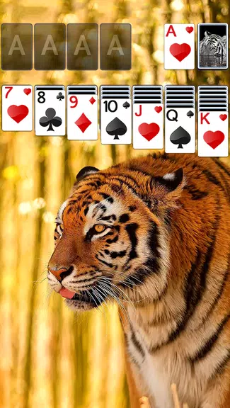 Solitaire Tiger Theme Screenshot 0