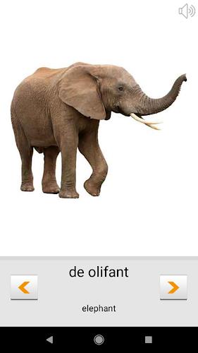 Learn Dutch words (Nederlands) Captura de pantalla 2