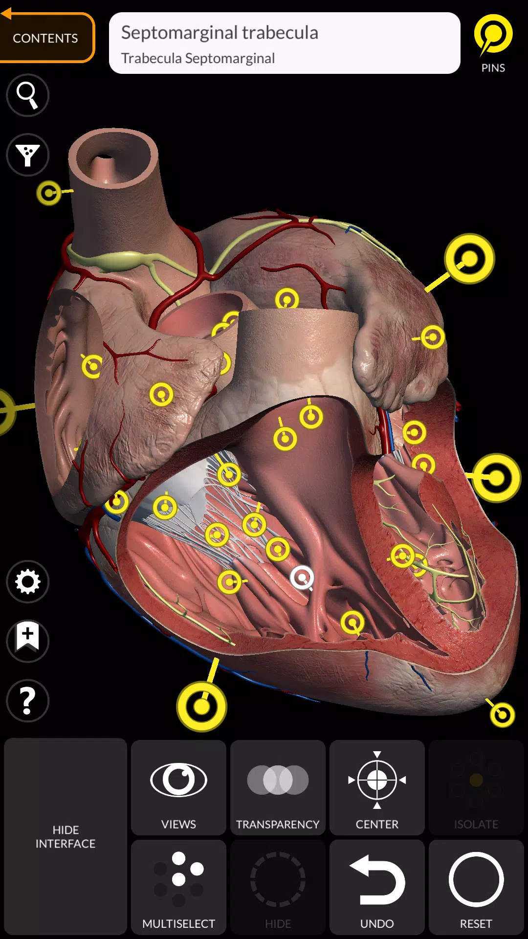 Anatomy 3D Atlas Tangkapan skrin 2