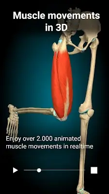 Anatomy Learning - 3D Anatomy 螢幕截圖 1