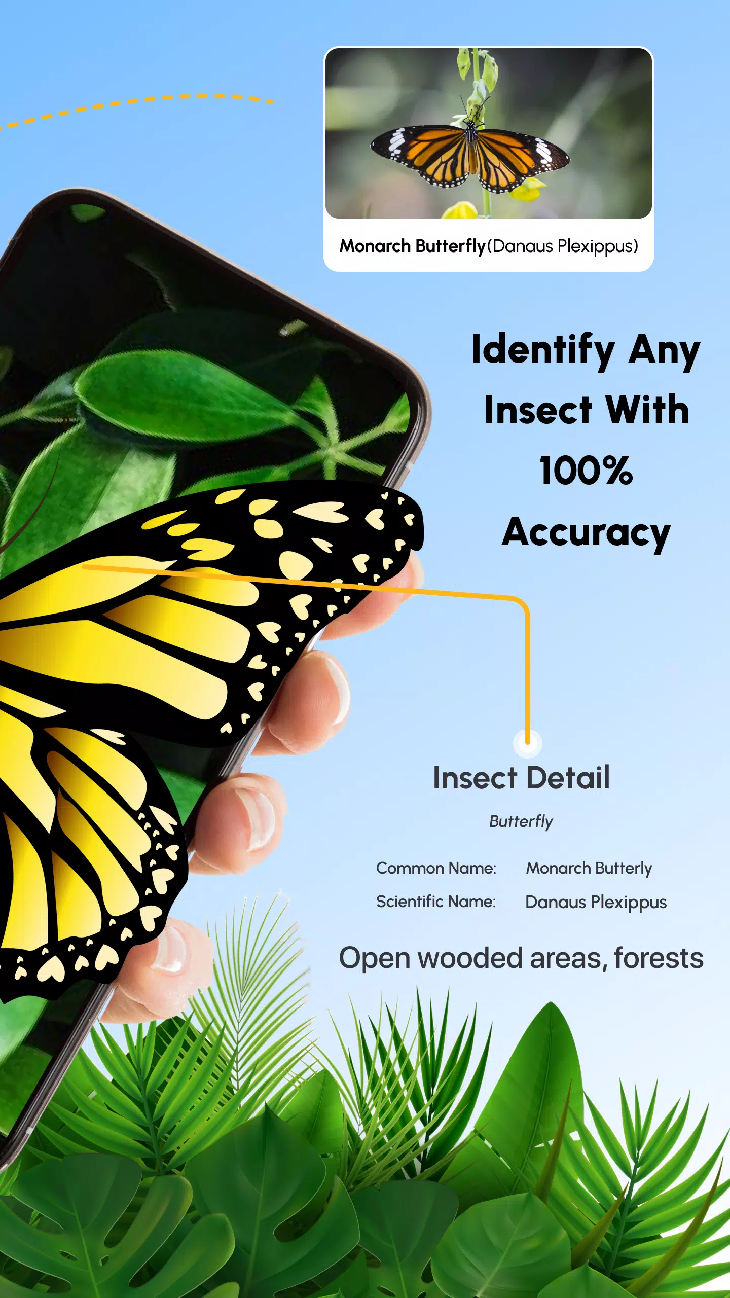 Insect Identifier Bug Identify स्क्रीनशॉट 1