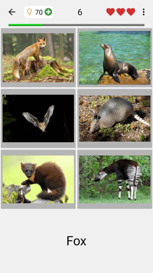 Animals Quiz Learn All Mammals 스크린샷 1