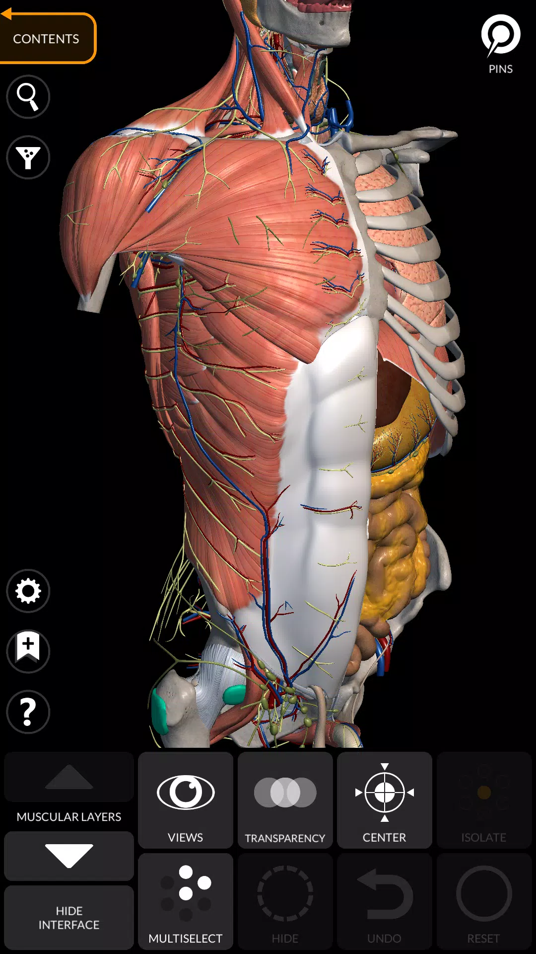 Anatomy 3D Atlas Tangkapan skrin 0