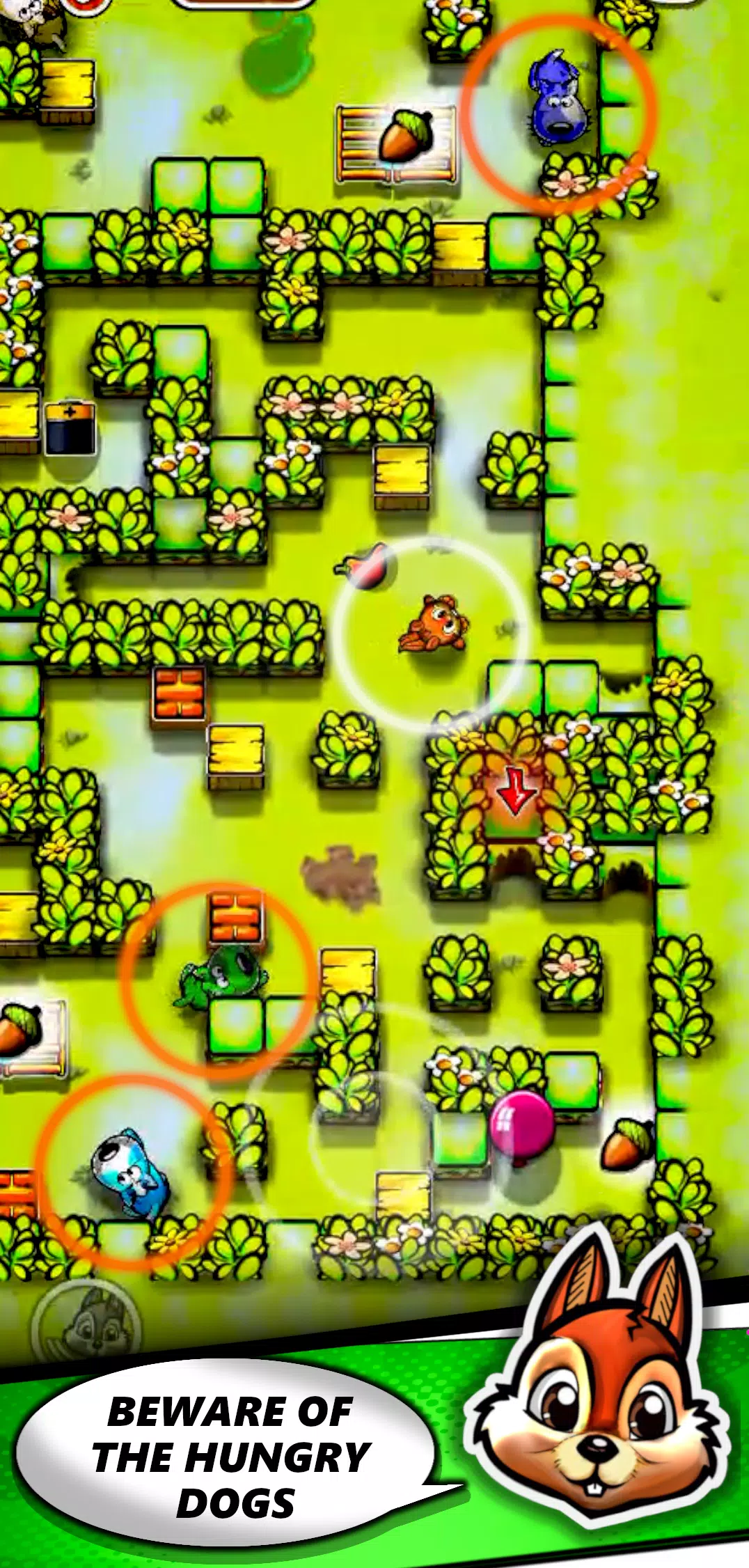 Squirrel Maze Escape 螢幕截圖 0