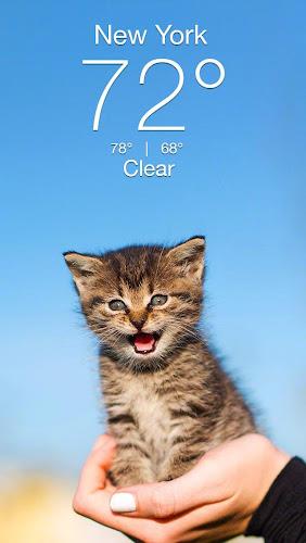 Weather Kitty - App & Widget Captura de tela 0