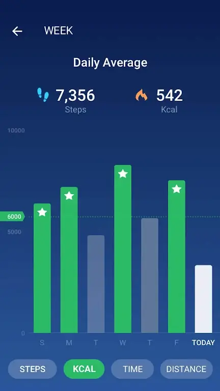 Pedometer Schermafbeelding 2