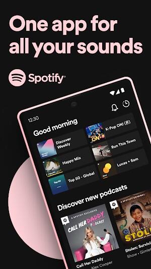 Spotify Premium Ảnh chụp màn hình 0