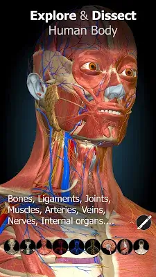 Anatomy Learning - 3D Anatomy 螢幕截圖 0